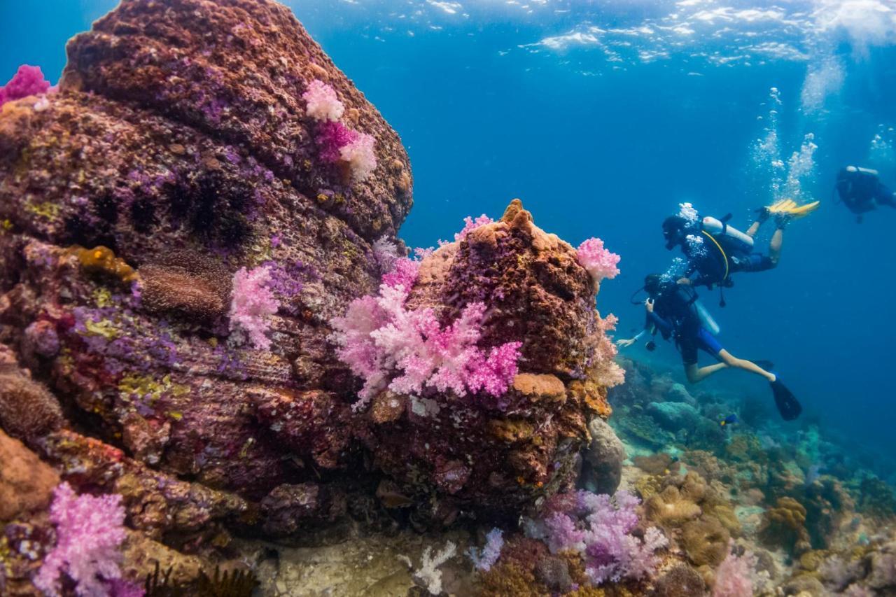 קו ליפה Forra Dive Resort Sunrise מראה חיצוני תמונה